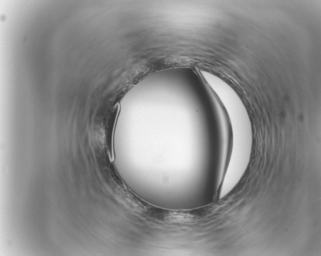 X0000088620617200706221457