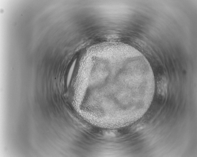 X0000088620618200706221457