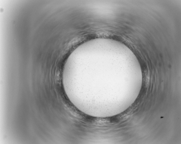 X0000088620619200706221457