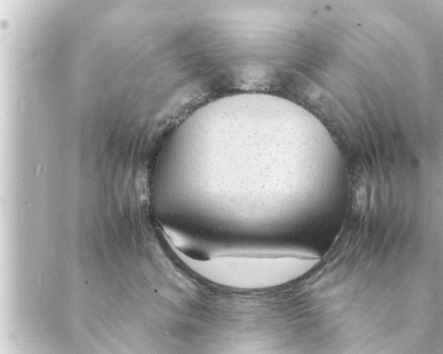 X0000088620620200706221457