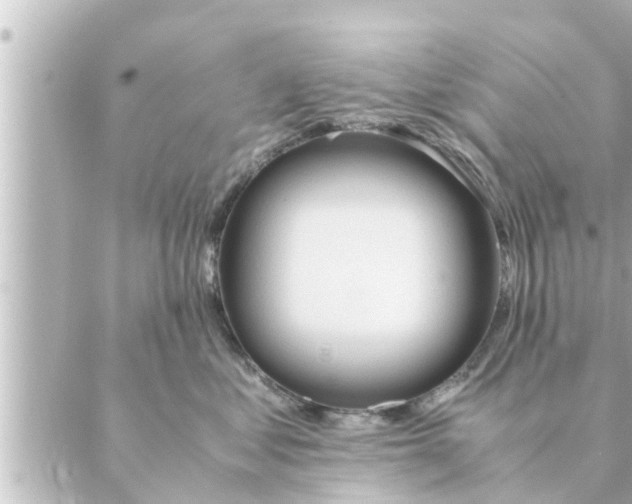 X0000088620621200706221457