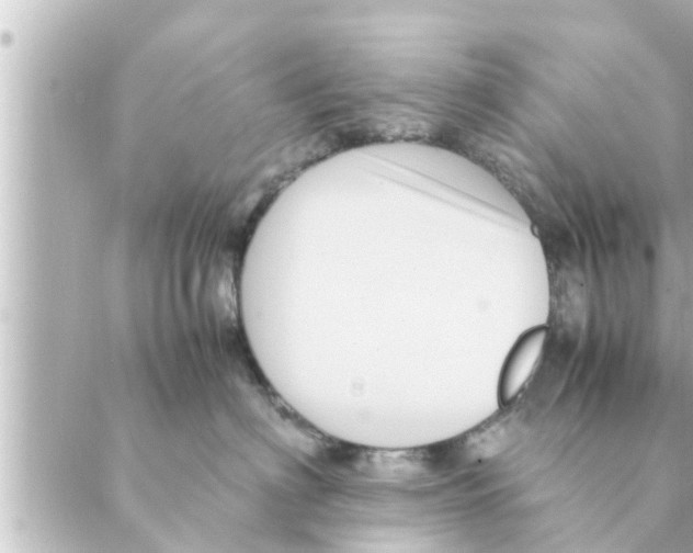 X0000088620622200706221457