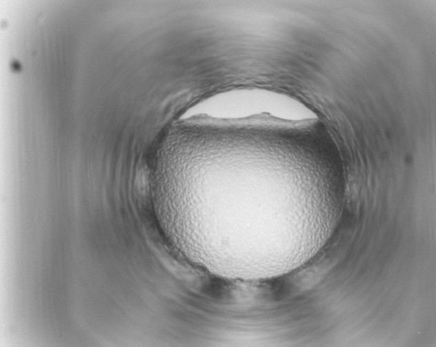 X0000088620623200706221457