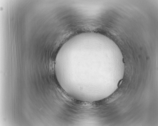 X0000088620624200706221457