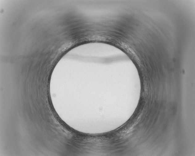 X0000088620625200706221456