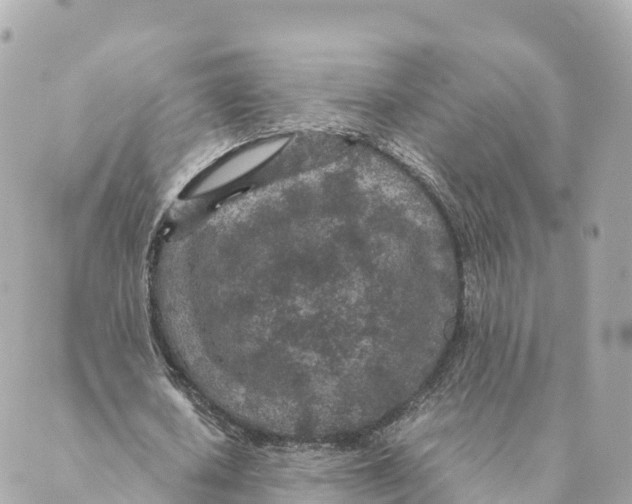 X0000088620626200706221456