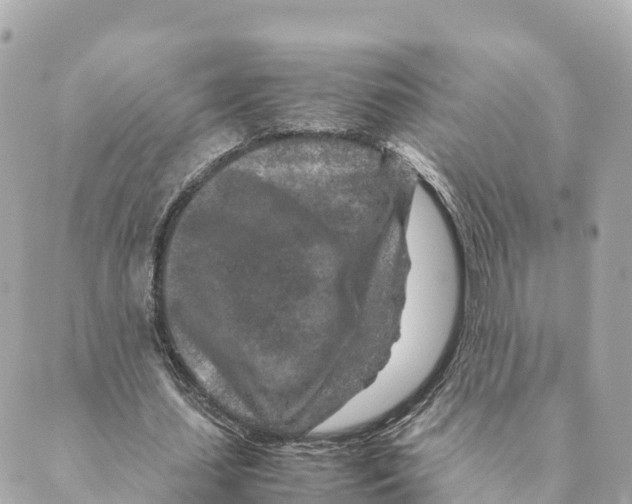 X0000088620627200706221456