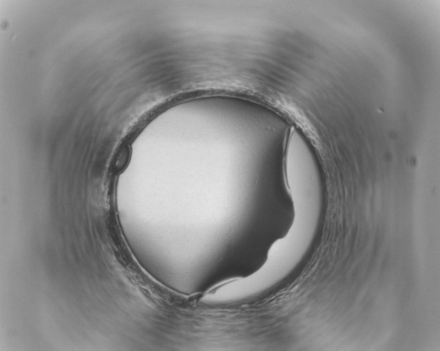 X0000088620628200706221456