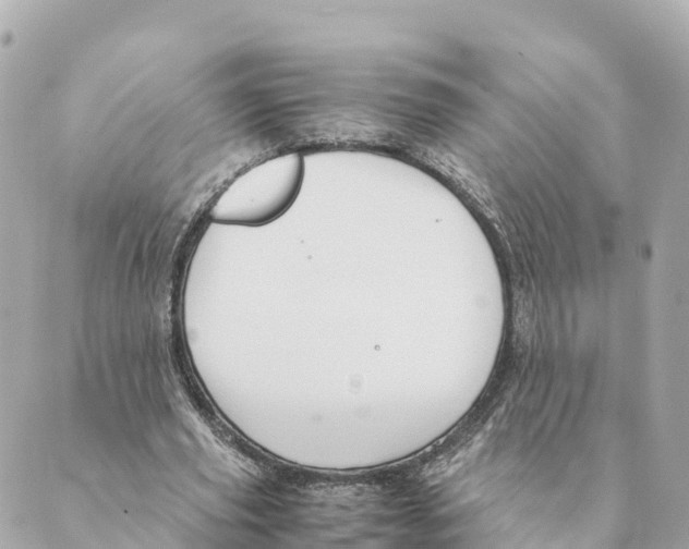 X0000088620629200706221456