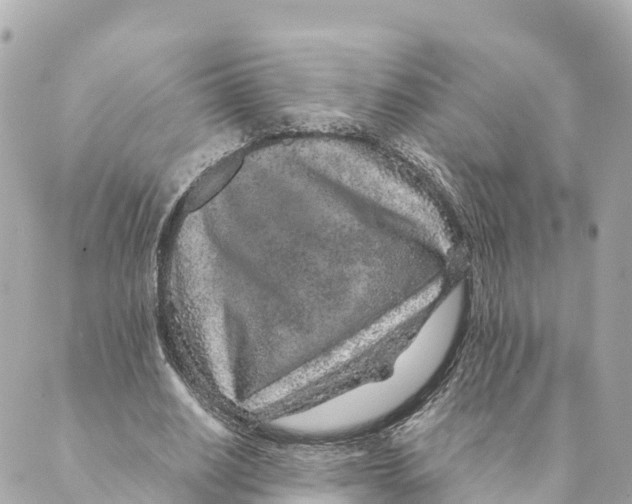 X0000088620630200706221456