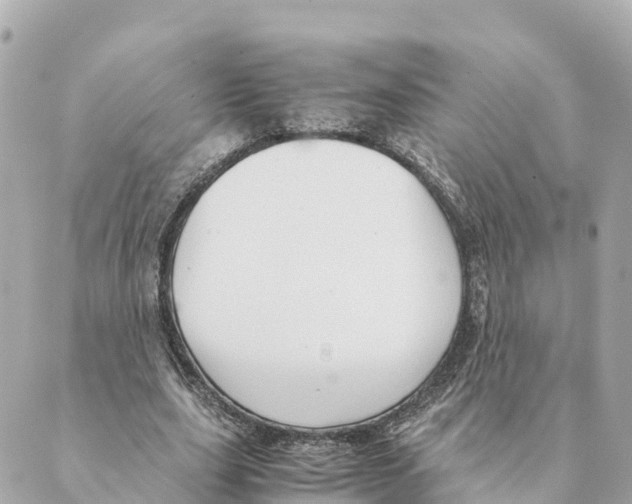 X0000088620631200706221456