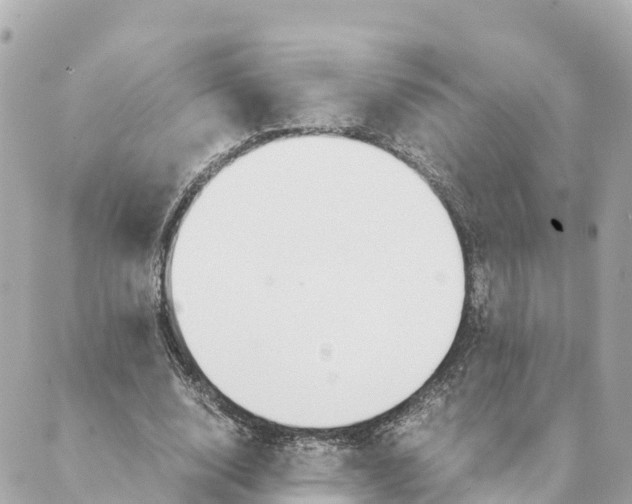 X0000088620632200706221456