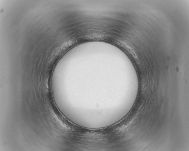 X0000088620633200706221456