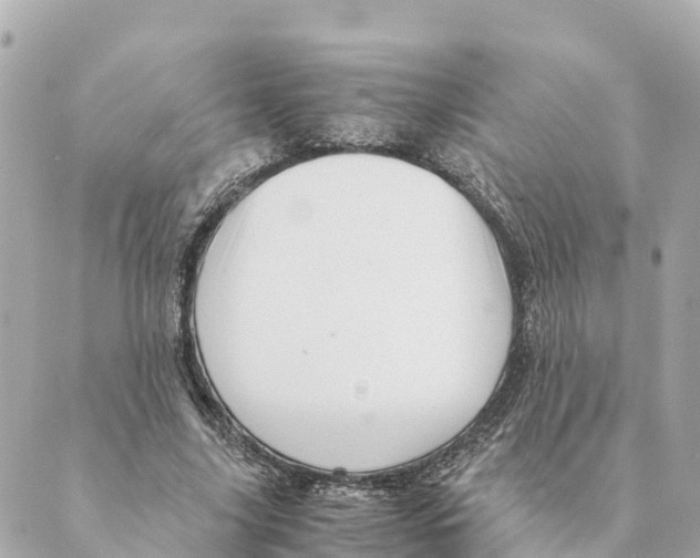 X0000088620635200706221456