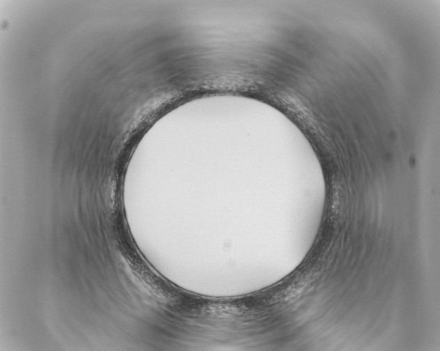 X0000088620636200706221456