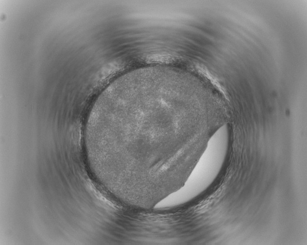 X0000088620637200706221456