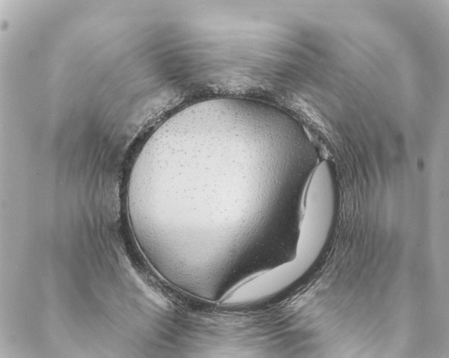 X0000088620638200706221456