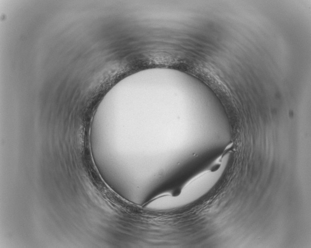 X0000088620639200706221456