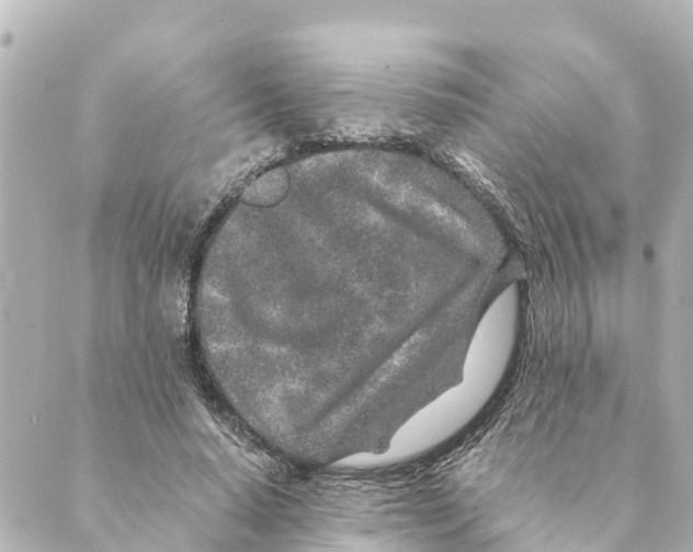 X0000088620640200706221456