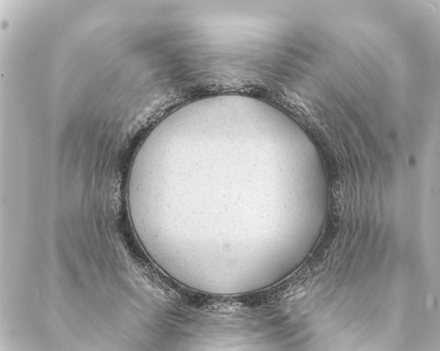 X0000088620642200706221456