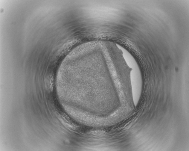 X0000088620644200706221456