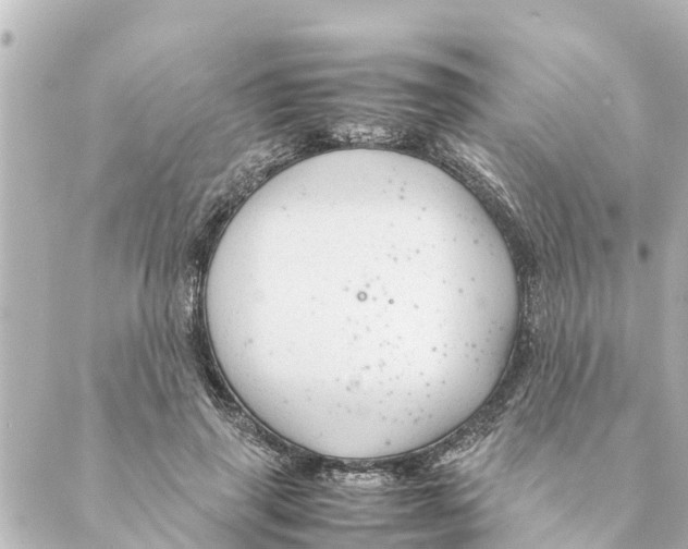 X0000088620645200706221456