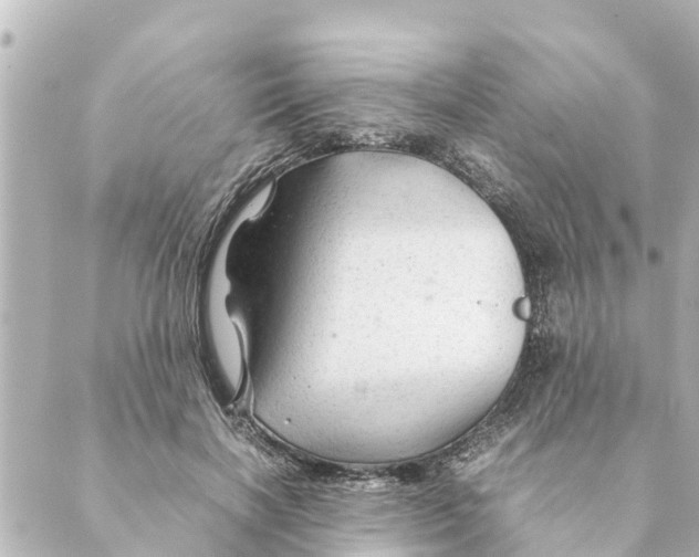 X0000088620646200706221456