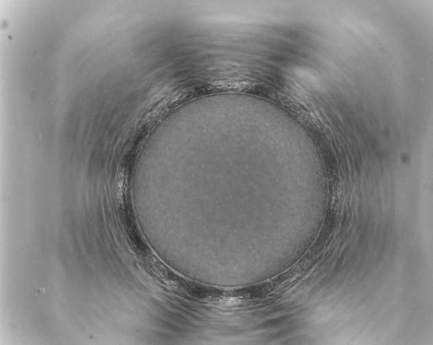 X0000088620647200706221456