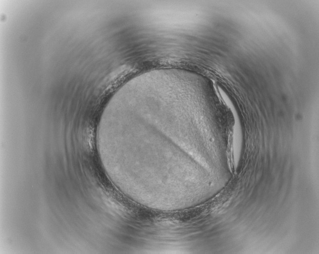 X0000088620648200706221456