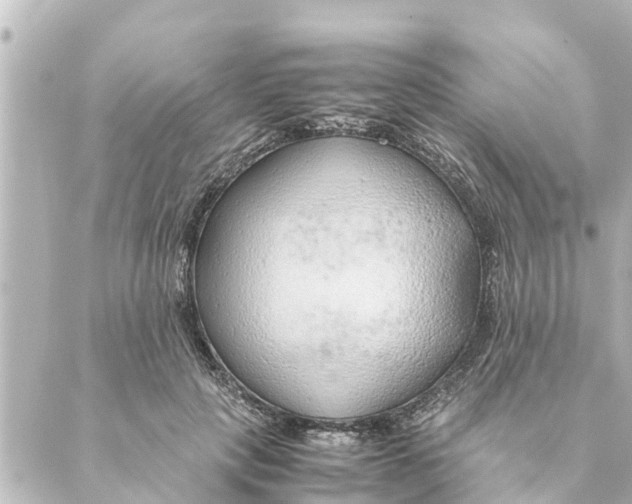 X0000088620649200706221456