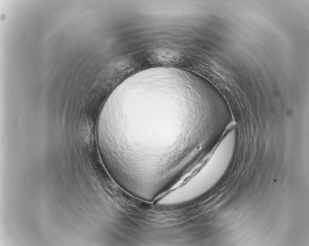 X0000088620651200706221457