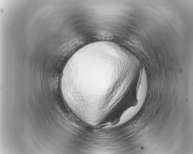 X0000088620652200706221457