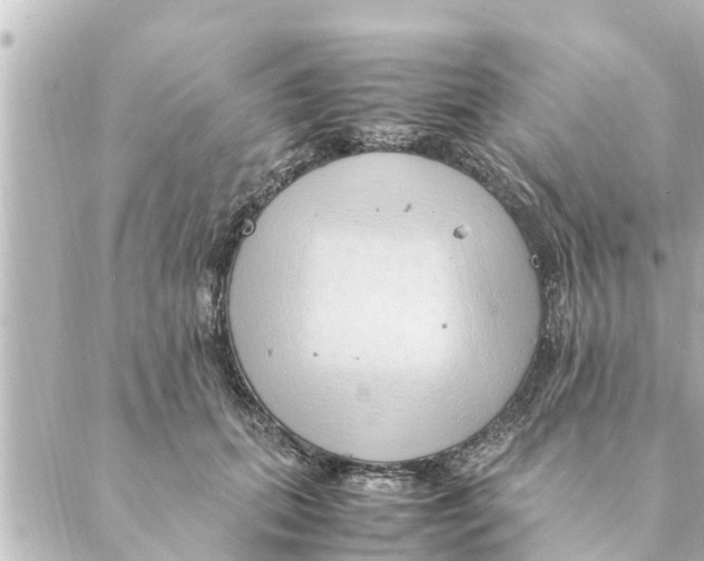 X0000088620655200706221457