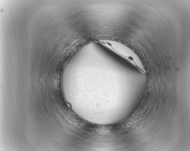 X0000088620656200706221457