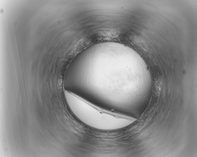 X0000088620657200706221457