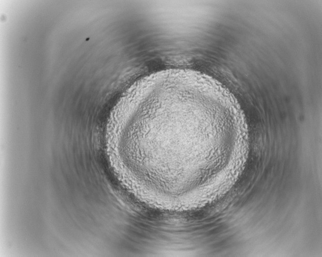 X0000088620658200706221457