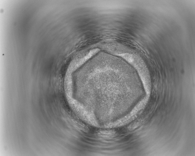 X0000088620659200706221457