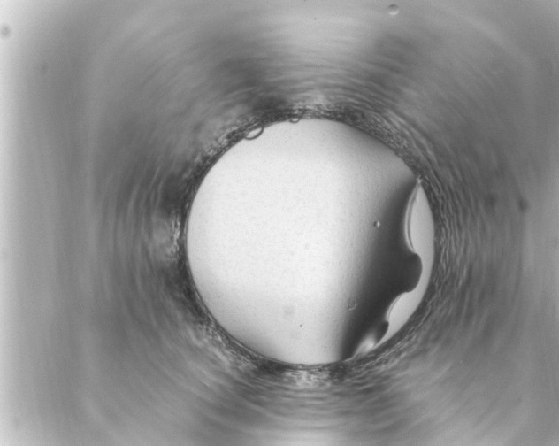 X0000088620660200706221457