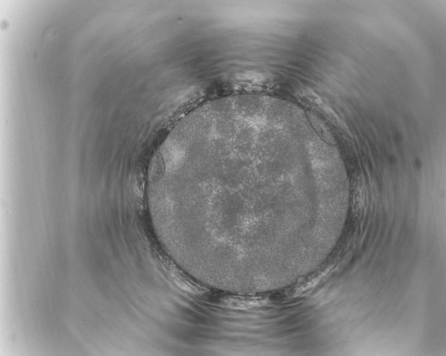 X0000088620661200706221457