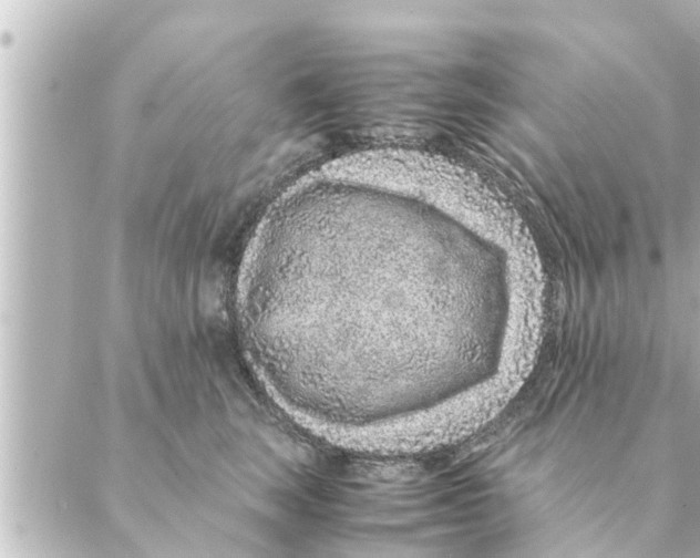 X0000088620663200706221457