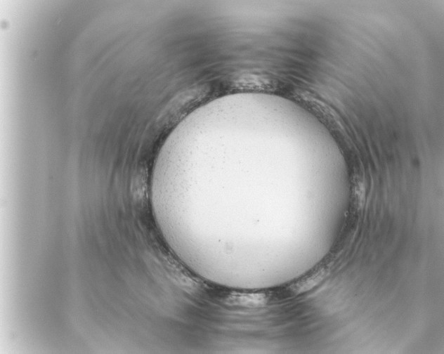 X0000088620665200706221457