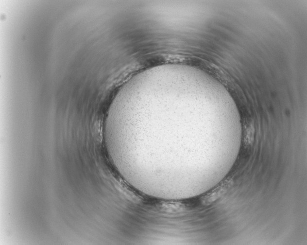 X0000088620666200706221457