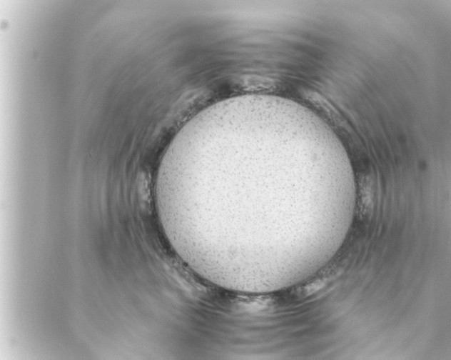 X0000088620667200706221457