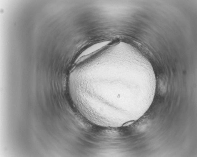 X0000088620668200706221457