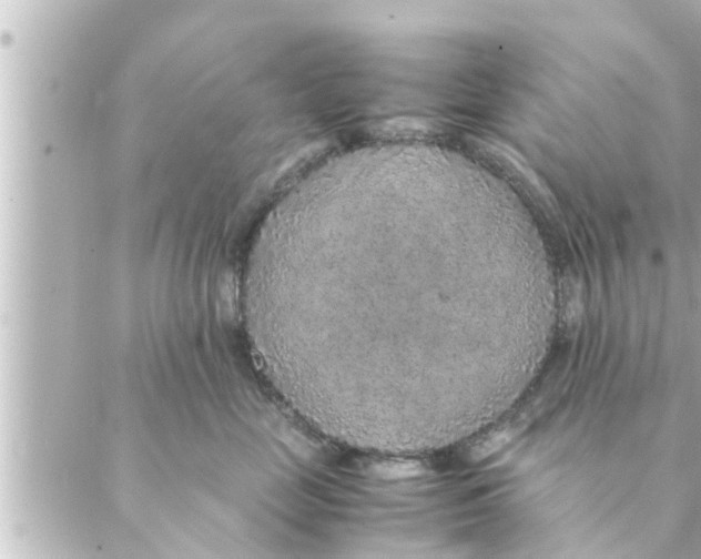 X0000088620669200706221457