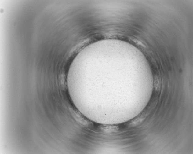 X0000088620670200706221457