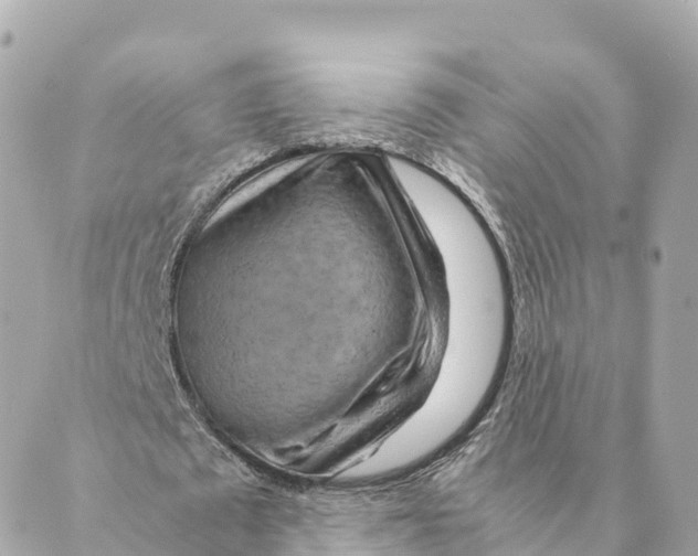 X0000088620673200706221456