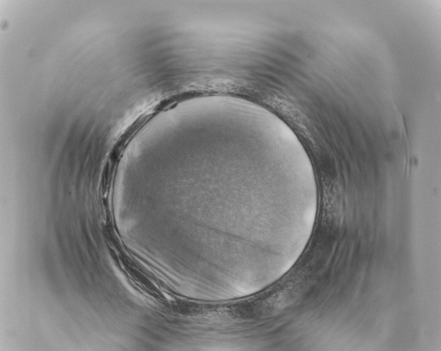 X0000088620674200706221456