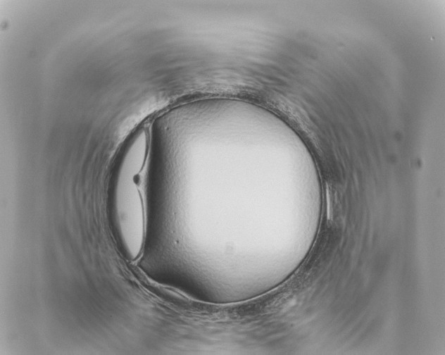 X0000088620675200706221456