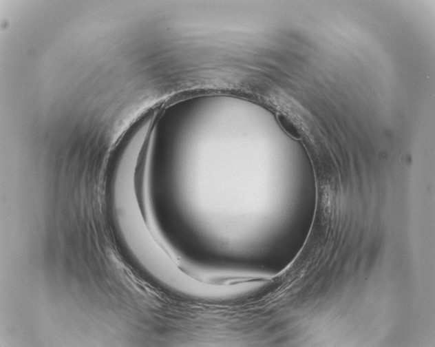 X0000088620676200706221456